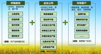 金友米業(yè)會(huì)員項(xiàng)目 打造國(guó)內(nèi)領(lǐng)先的生態(tài)農(nóng)產(chǎn)品服務(wù)與信息咨詢平臺(tái)